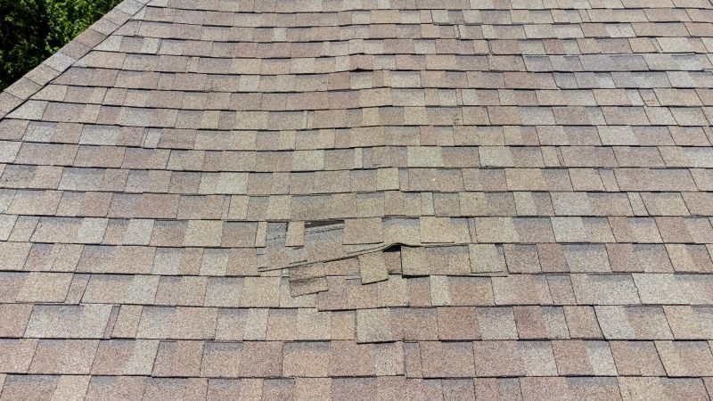 Asphalt Roof Inspection in Bedford, OH