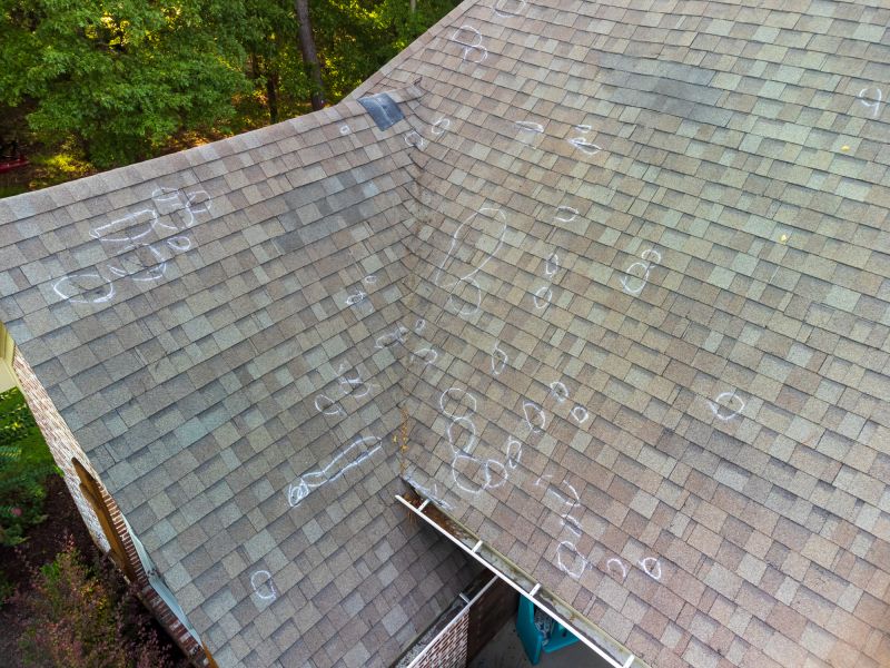 Asphalt Roof Inspection in Lake County, OH