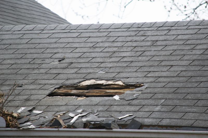 Asphalt Roof Leak Repair in Mentor, OH