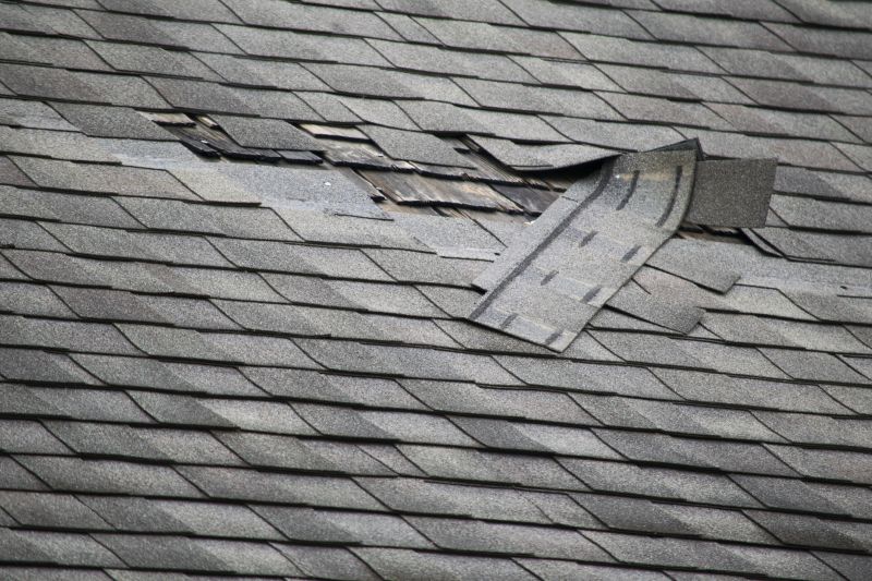 Asphalt Roof Repair in Montville, OH