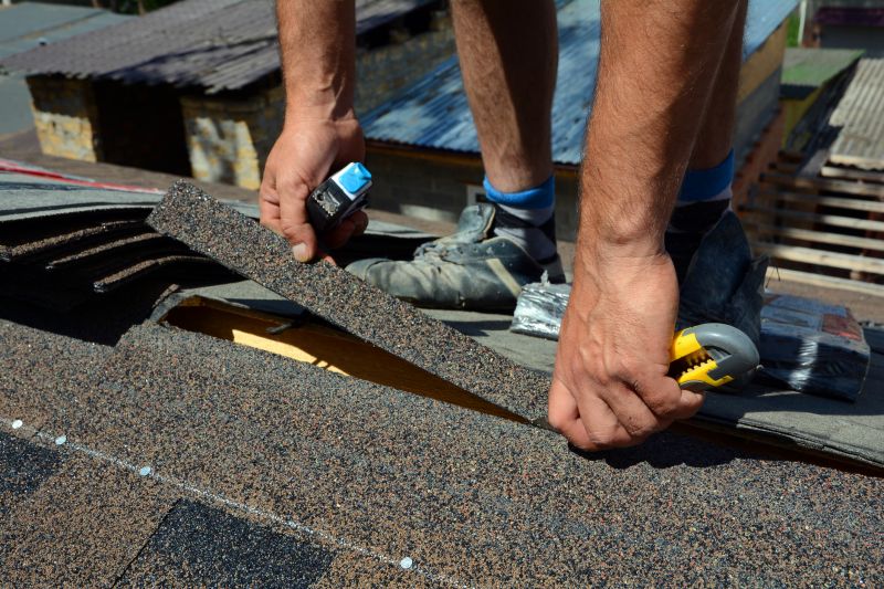 Asphalt Roof Repair in Painesville, OH