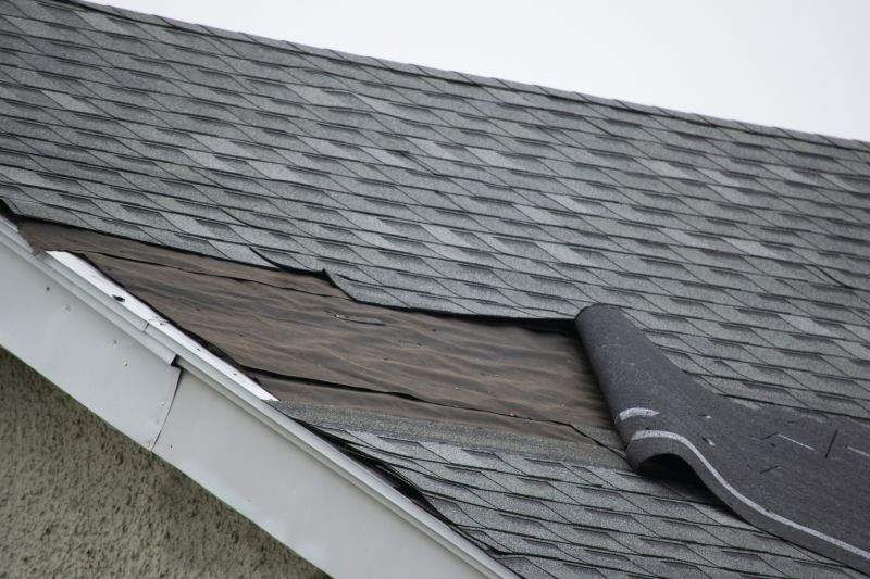 Asphalt Shingles Repair in Lake County, OH