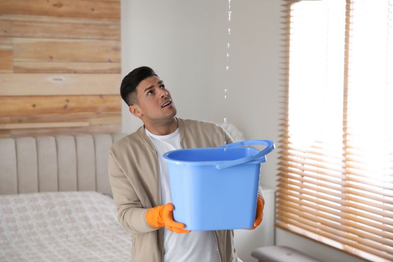 Bedroom Leak Repair in Lake County, OH