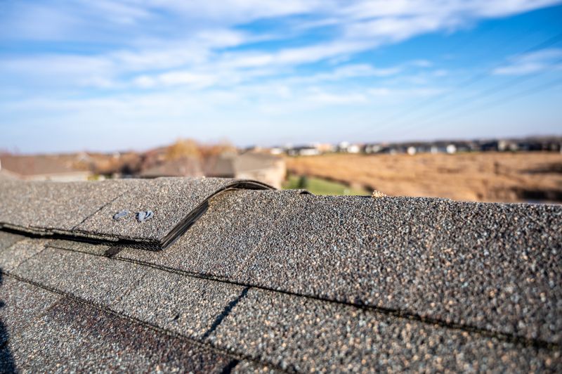 Damaged Roof Repair in Lake County, OH