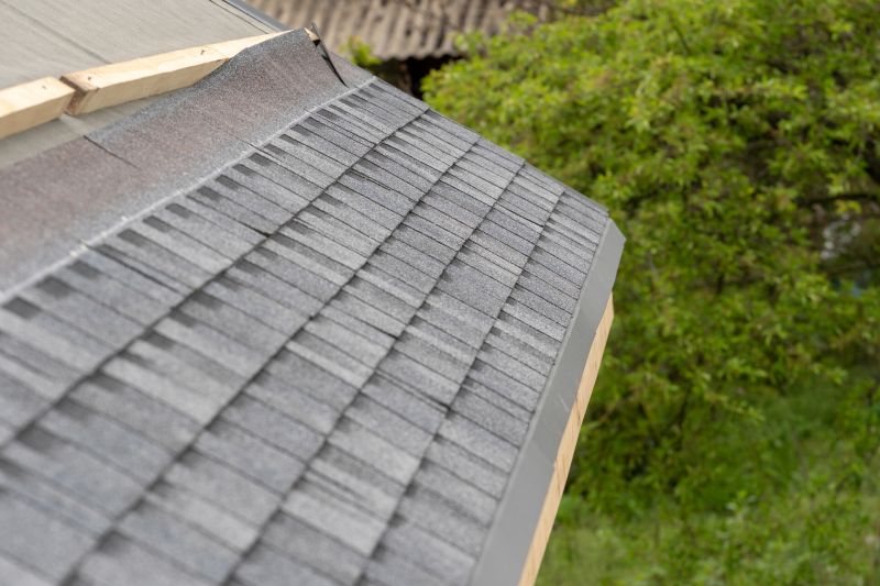 Damaged Roof Repair in Lake County, OH