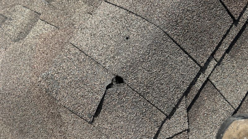 Damaged Roof Repair in Montville, OH