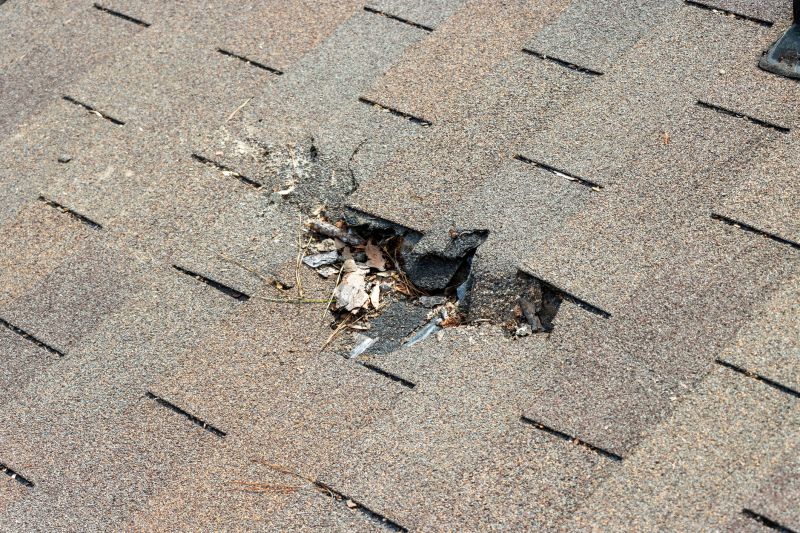 Damaged Roof Replacement in Geneva, OH