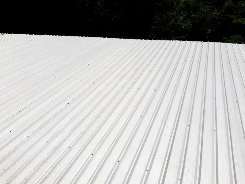 Galvanized Roof Repair in Lake County, OH