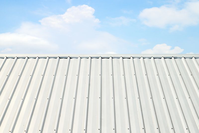 Metal Roof Coating Service in Lake County, OH