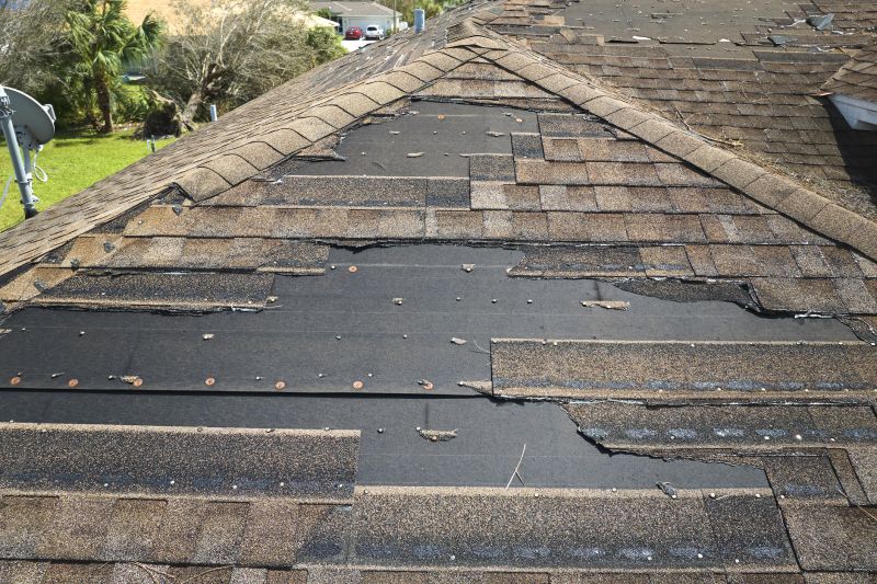 Roof Hail Damage Repair in Lake County, OH