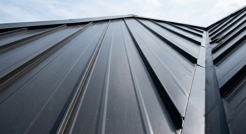 Standing Seam Roof Repair in Lake County, OH
