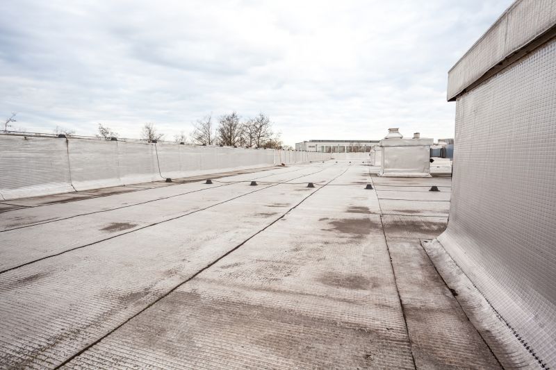 Tpo Roof Repair in Painesville, OH
