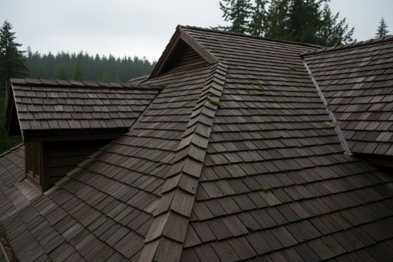 Wood Shake Roof Replacement in Geneva, OH